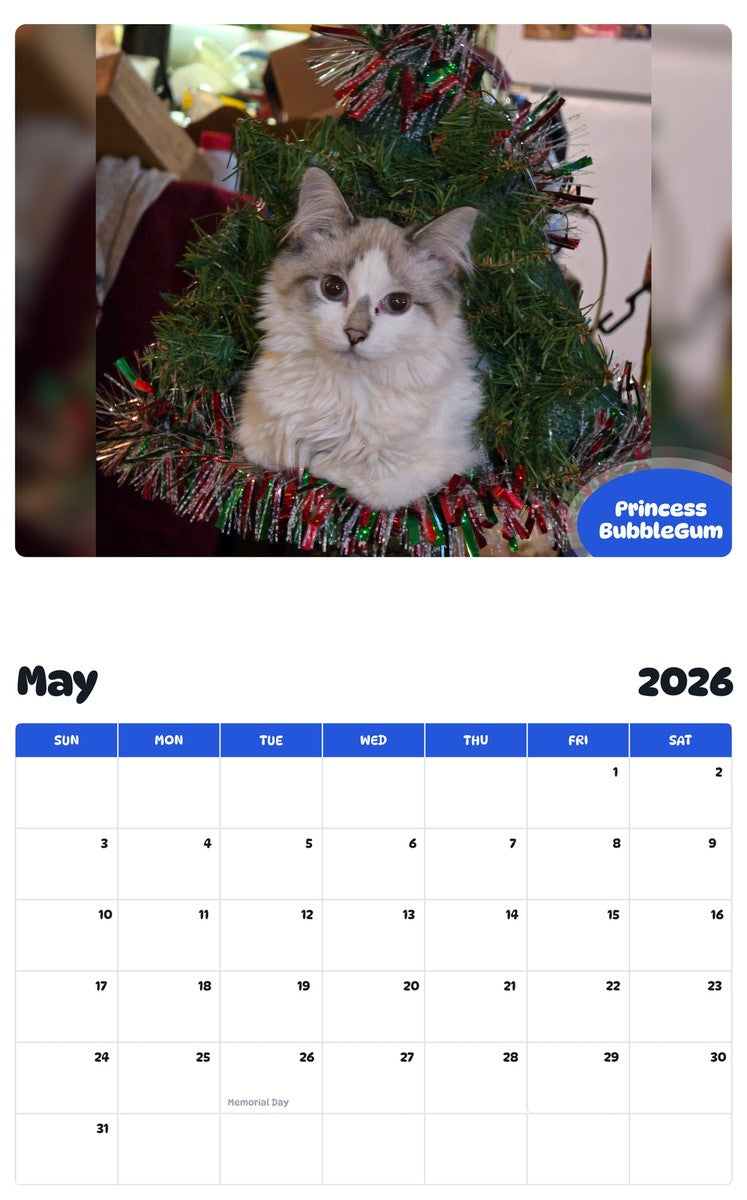 2026 - 2027 Princess BubbleGum - Pawidols Pet Calendar