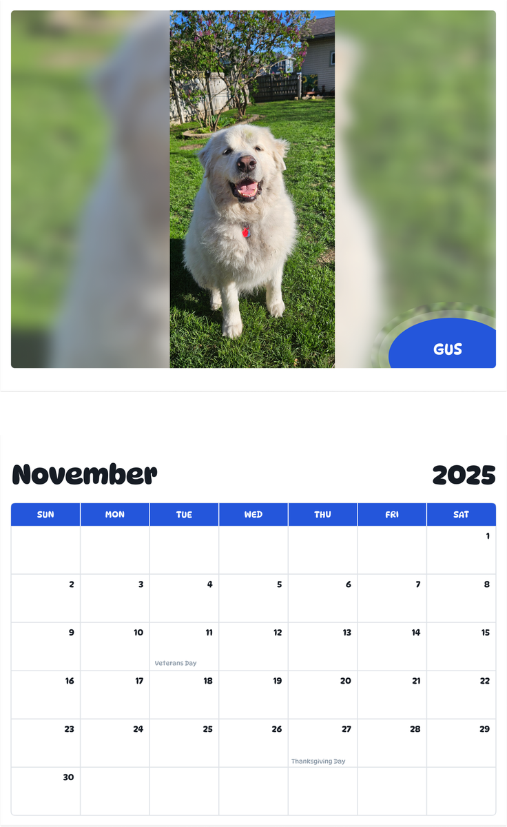 July 2025 - June 2026 Gus - Pawidols Pet Calendar