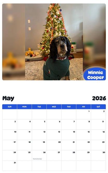 2026 - 2027 Winnie Cooper - Pawidols Pet Calendar