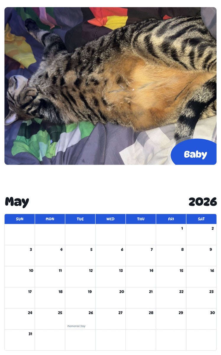 2026 - 2027 Baby - Pawidols Pet Calendar