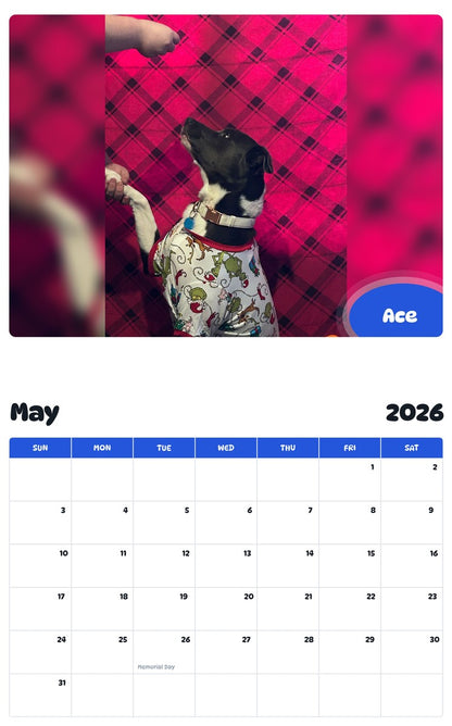 2026 - 2027 Ace - Pawidols Pet Calendar