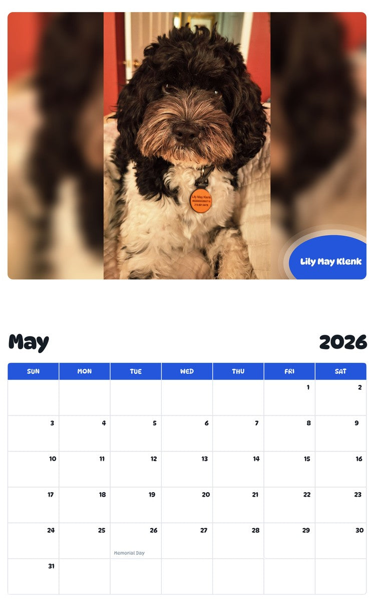 2026 - 2027 Lily May Klenk - Pawidols Pet Calendar