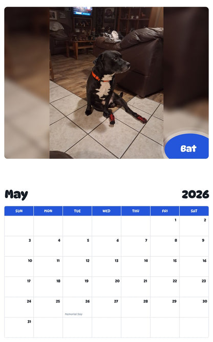 2026 - 2027 Bat - Pawidols Pet Calendar
