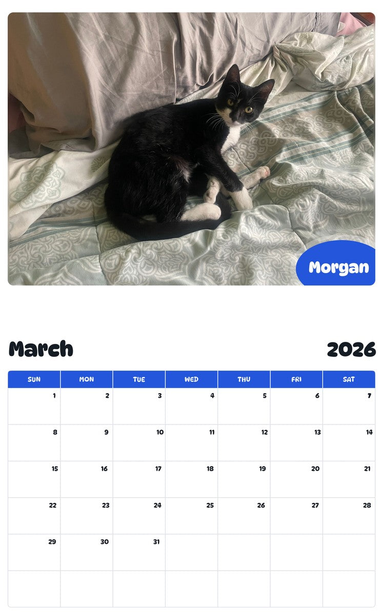 November 2025 - October 2026 Morgan - Pawidols Pet Calendar