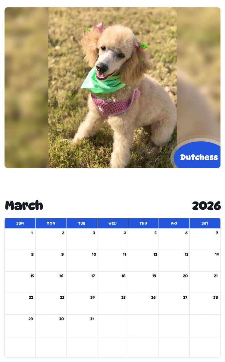 November 2025 - October 2026 Dutchess - Pawidols Pet Calendar