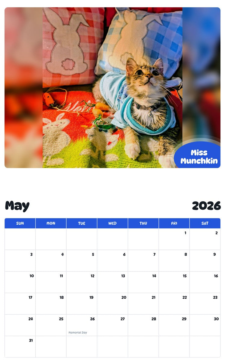 2026 - 2027 Miss Munchkin - Pawidols Pet Calendar