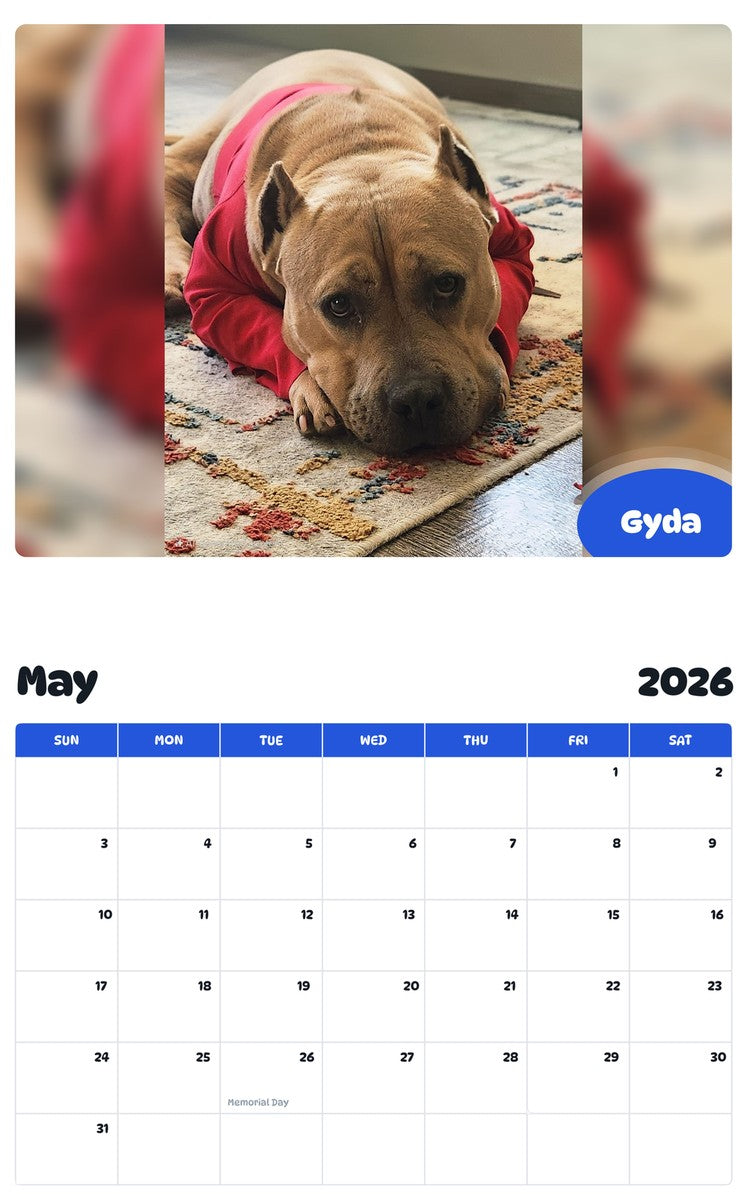 2026 - 2027 Gyda - Pawidols Pet Calendar