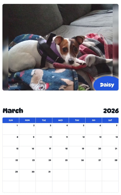 November 2025 - October 2026 Daisy - Pawidols Pet Calendar
