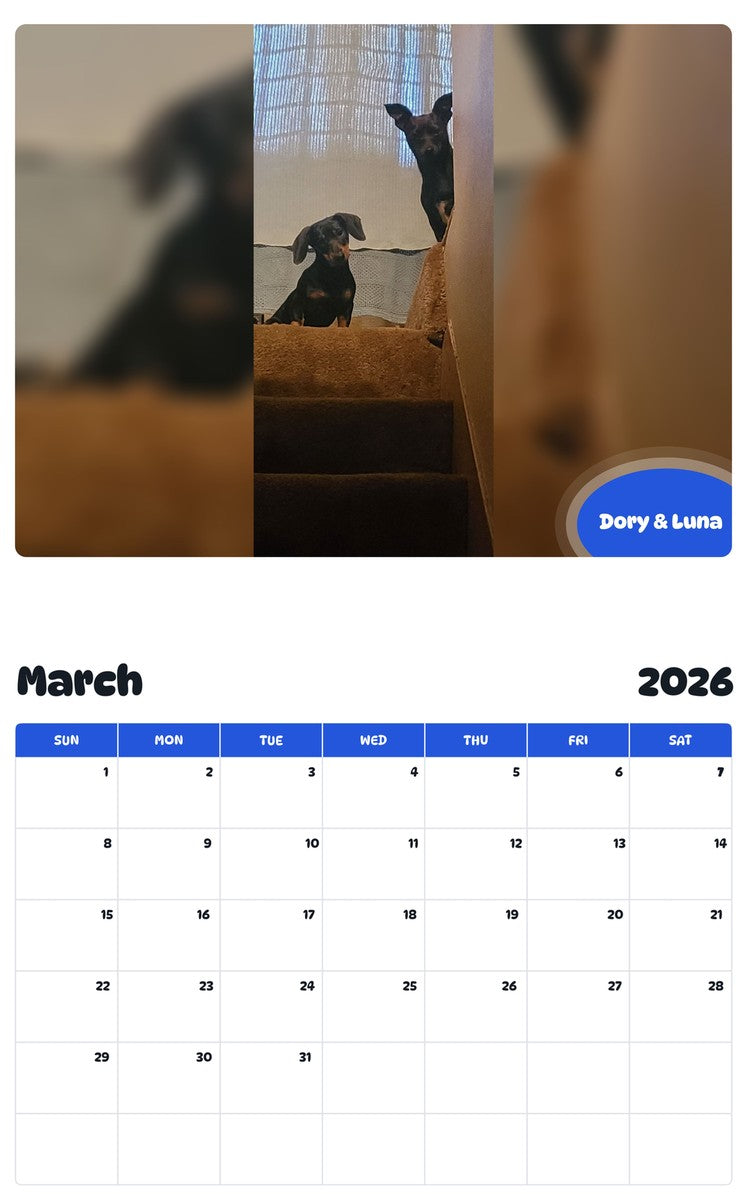 November 2025 - October 2026 Dory & Luna - Pawidols Pet Calendar