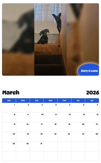 November 2025 - October 2026 Dory & Luna - Pawidols Pet Calendar