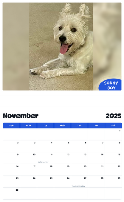 July 2025 - June 2026 Sonny Boy - Pawidols Pet Calendar