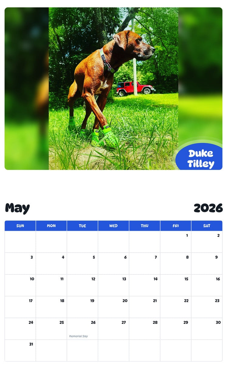 2026 - 2027 Duke Tilley - Pawidols Pet Calendar