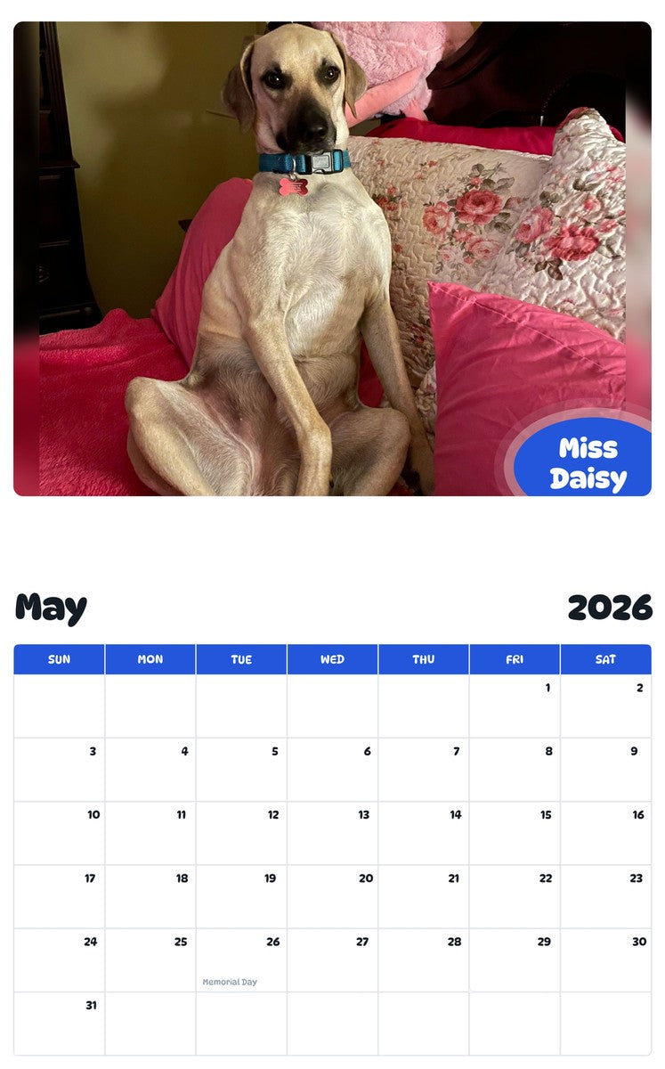 2026 - 2027 Miss Daisy - Pawidols Pet Calendar