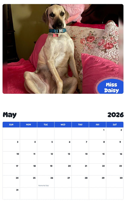 2026 - 2027 Miss Daisy - Pawidols Pet Calendar