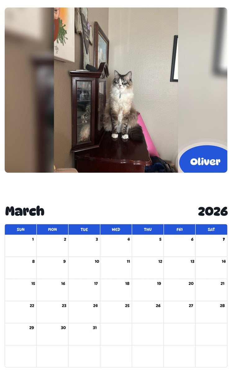 November 2025 - October 2026 Oliver - Pawidols Pet Calendar