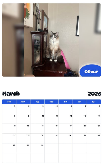 November 2025 - October 2026 Oliver - Pawidols Pet Calendar