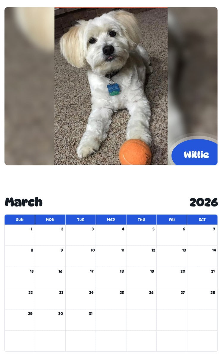 November 2025 - October 2026 Willie - Pawidols Pet Calendar