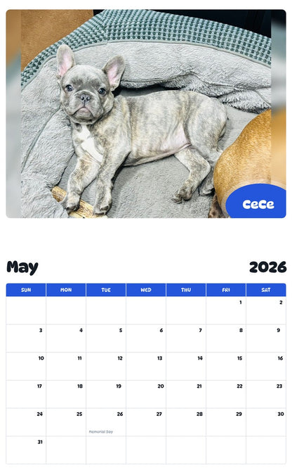 2026 - 2027 CeCe - Pawidols Pet Calendar