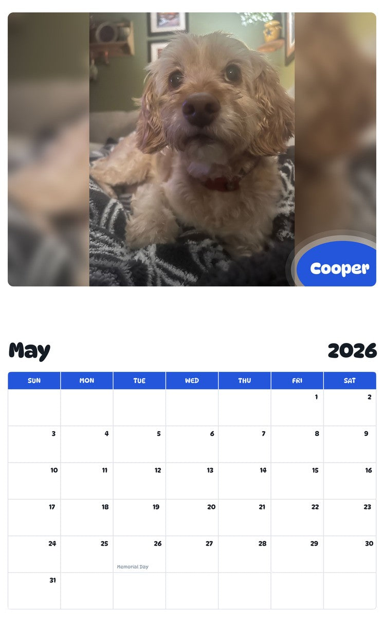 2026 - 2027 Cooper - Pawidols Pet Calendar