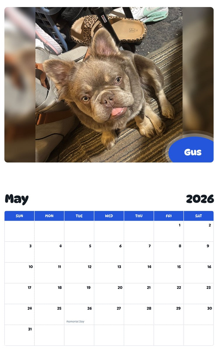 2026 - 2027 Gus - Pawidols Pet Calendar