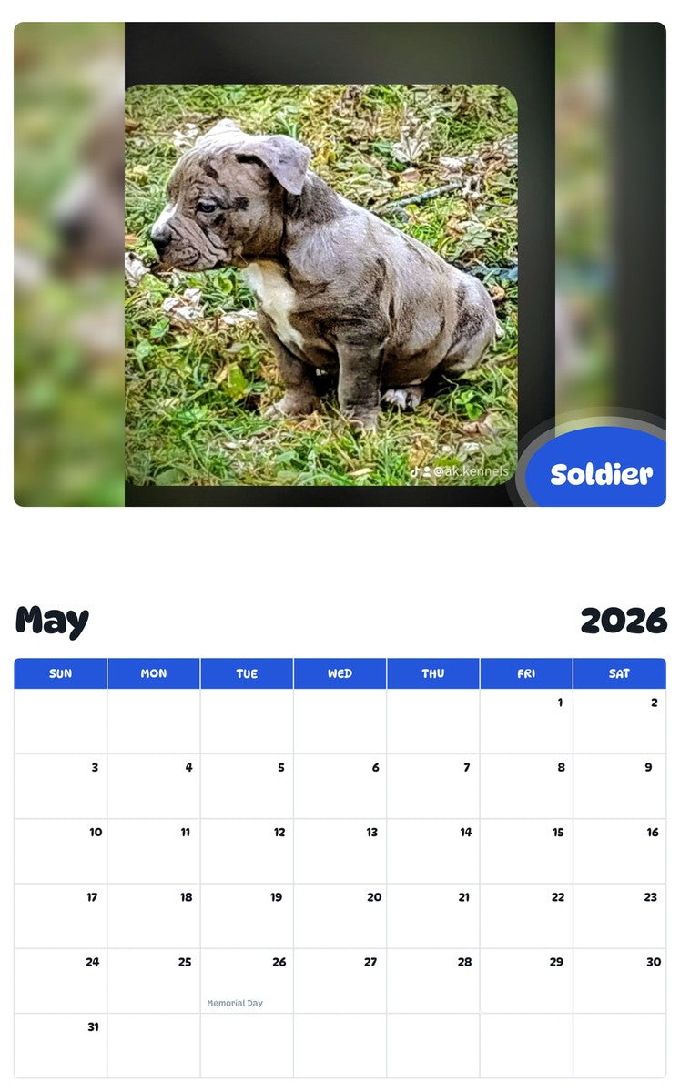 2026 - 2027 Soldier - Pawidols Pet Calendar