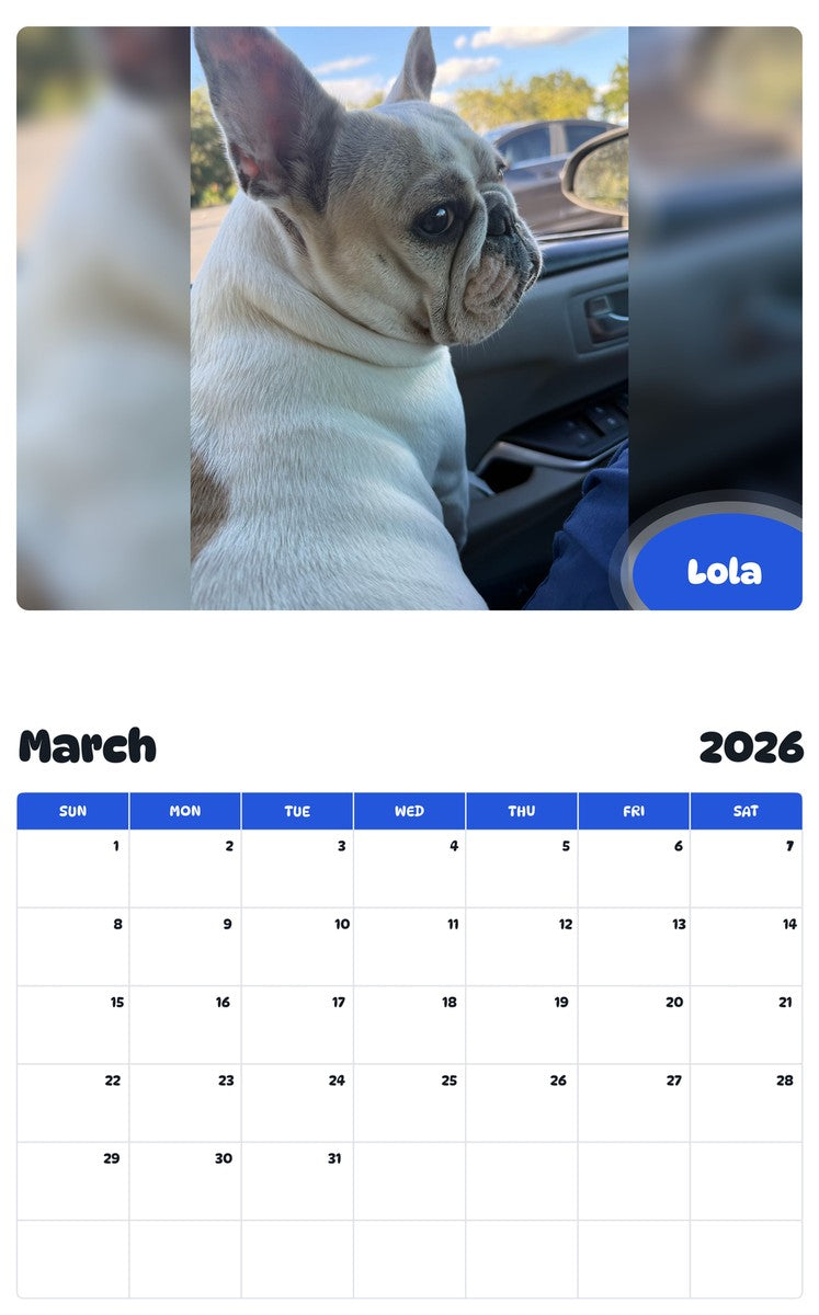November 2025 - October 2026 Lola - Pawidols Pet Calendar