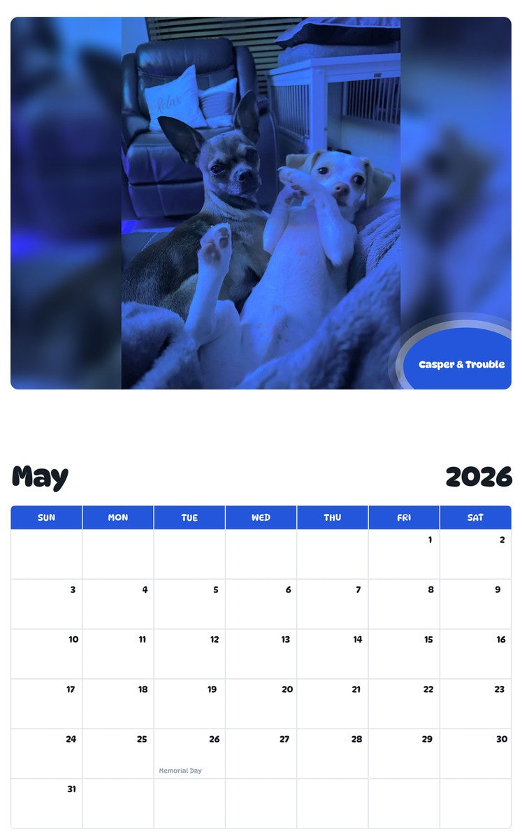2026 - 2027 Casper & Trouble - Pawidols Pet Calendar