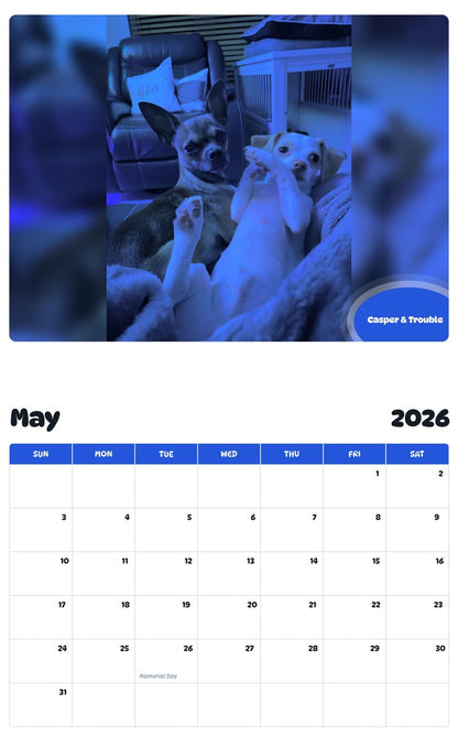 2026 - 2027 Casper & Trouble - Pawidols Pet Calendar