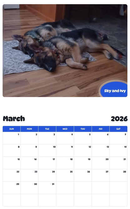 November 2025 - October 2026 Sky and Ivy - Pawidols Pet Calendar