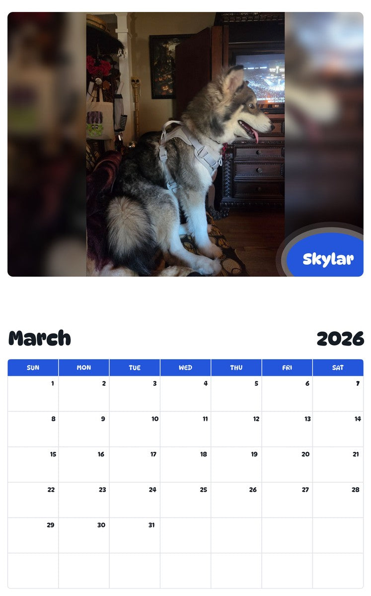 November 2025 - October 2026 Skylar - Pawidols Pet Calendar