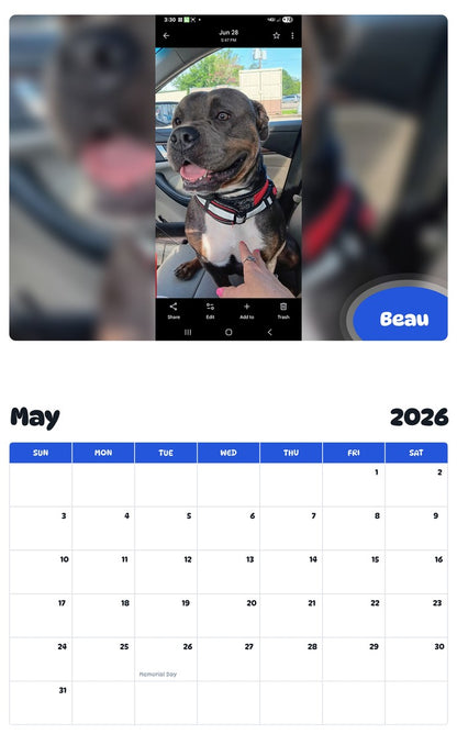 2026 - 2027 Beau - Pawidols Pet Calendar