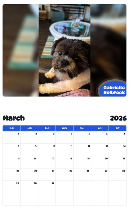 November 2025 - October 2026 Gabrielle Holbrook - Pawidols Pet Calendar