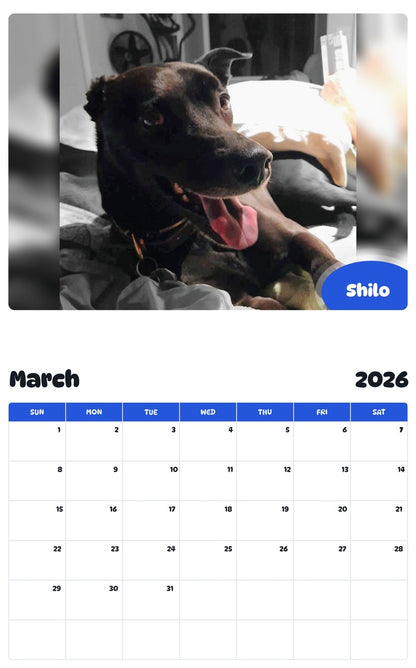 November 2025 - October 2026 Shilo - Pawidols Pet Calendar