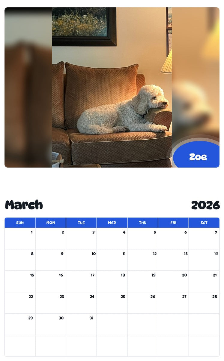 November 2025 - October 2026 Zoe - Pawidols Pet Calendar
