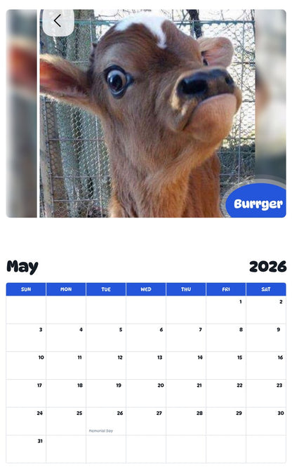 2026 - 2027 Burrger - Pawidols Pet Calendar