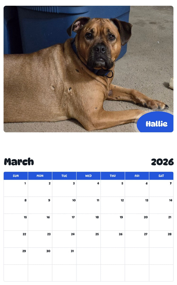November 2025 - October 2026 Hallie - Pawidols Pet Calendar