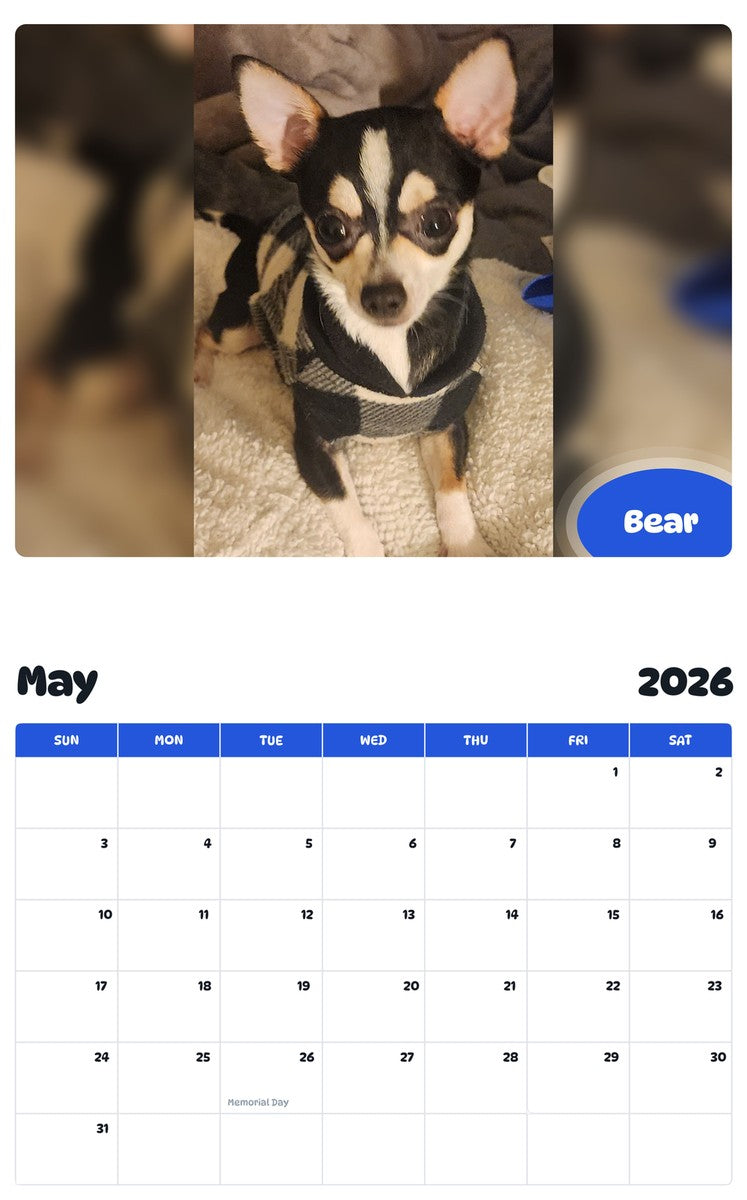 2026 - 2027 Bear - Pawidols Pet Calendar
