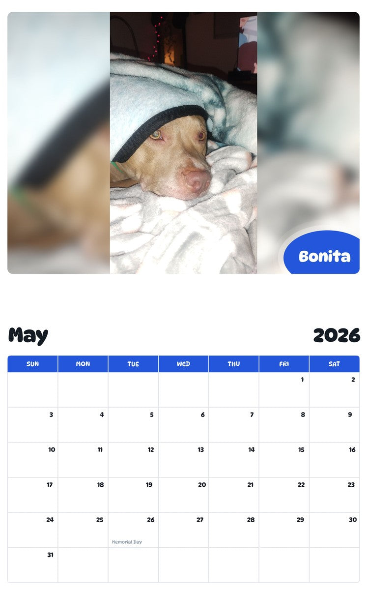 2026 - 2027 Bonita - Pawidols Pet Calendar
