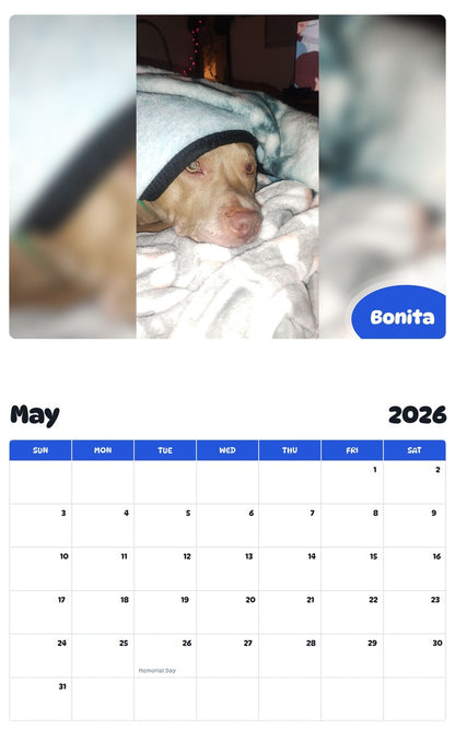 2026 - 2027 Bonita - Pawidols Pet Calendar