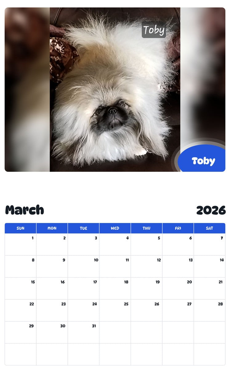 November 2025 - October 2026 Toby - Pawidols Pet Calendar