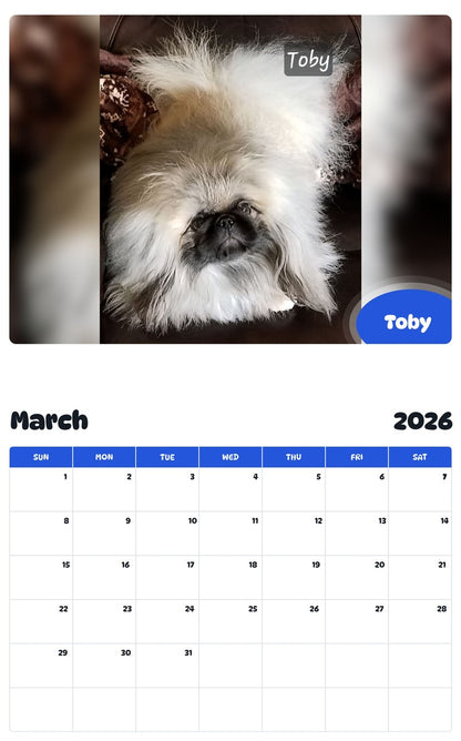November 2025 - October 2026 Toby - Pawidols Pet Calendar