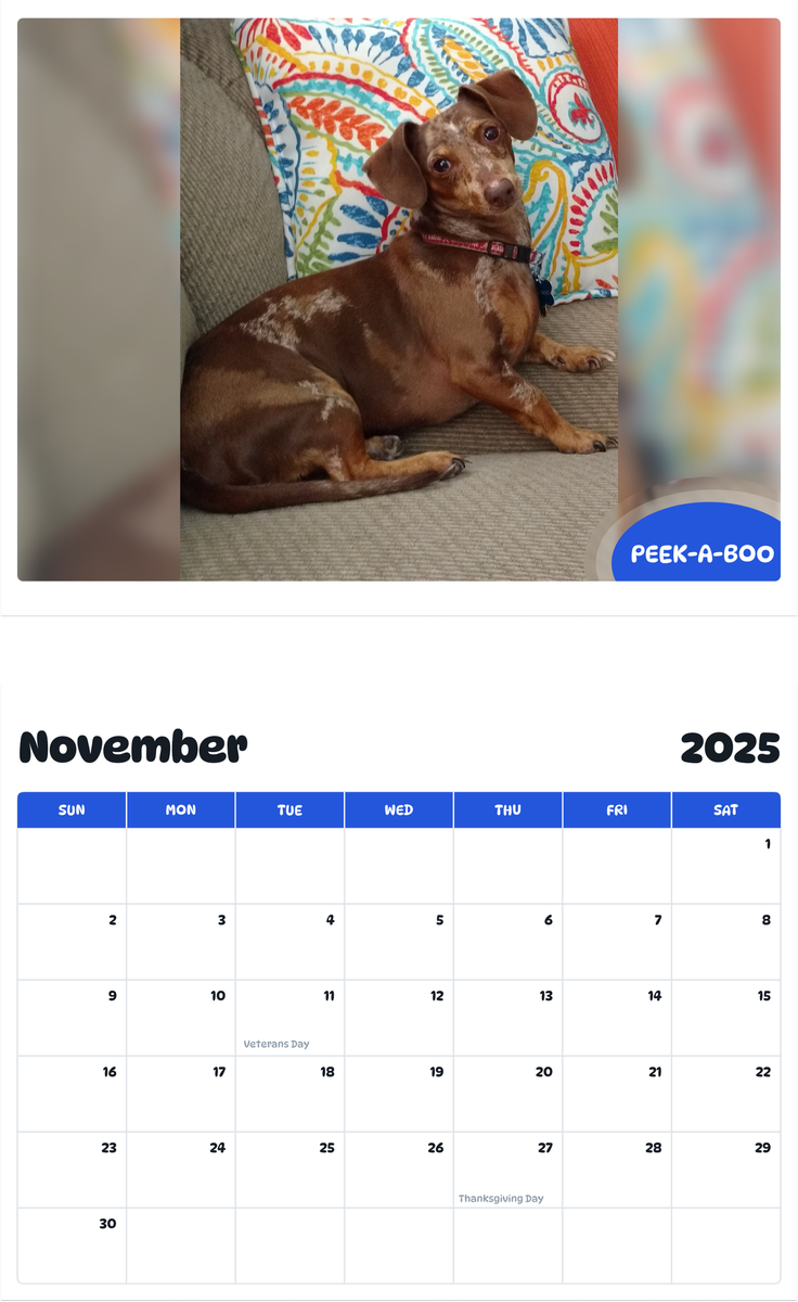 July 2025 - June 2026 Peek-A-Boo - Pawidols Pet Calendar