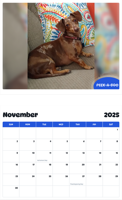 July 2025 - June 2026 Peek-A-Boo - Pawidols Pet Calendar