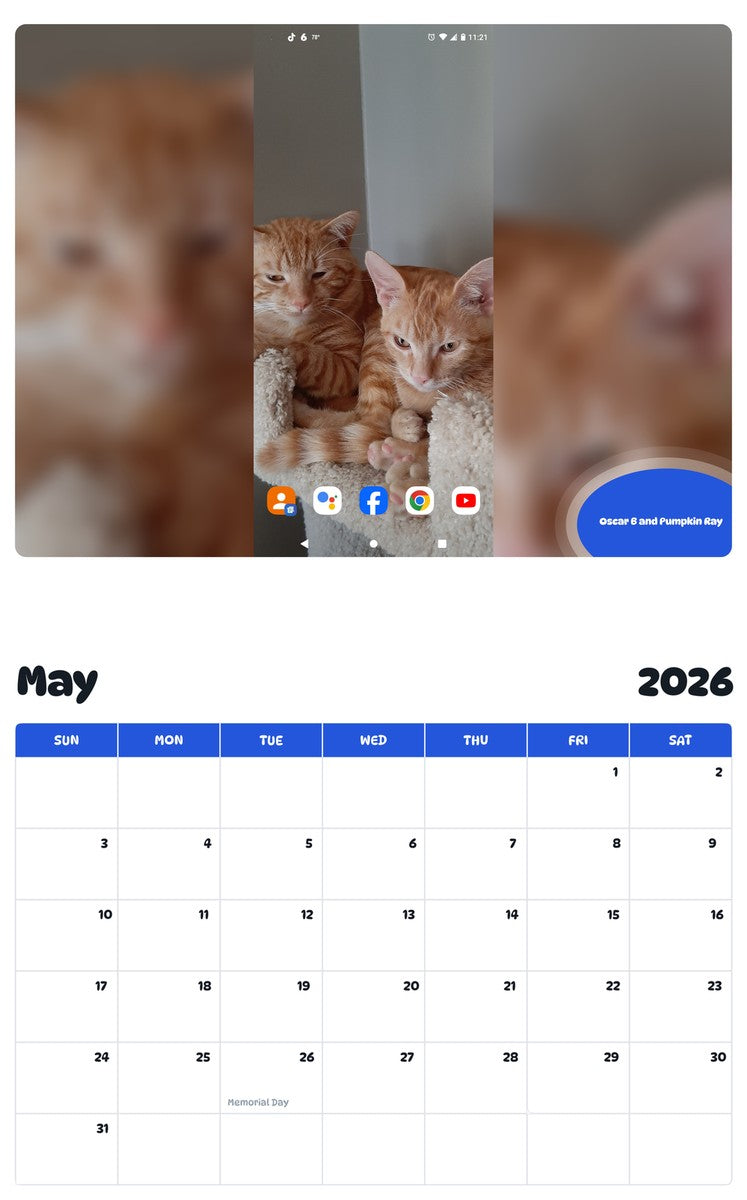 2026 - 2027 Oscar B and Pumpkin Ray - Pawidols Pet Calendar