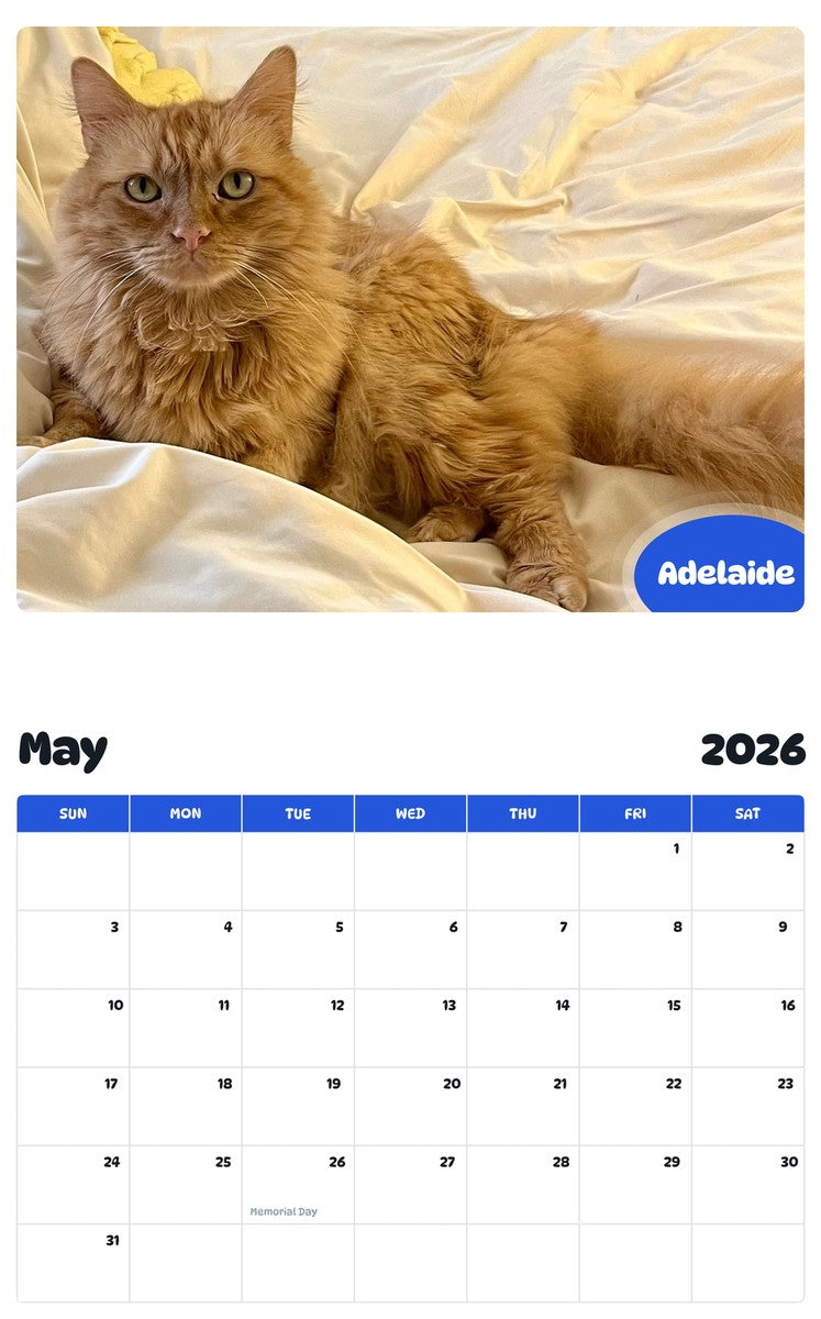2026 - 2027 Adelaide - Pawidols Pet Calendar