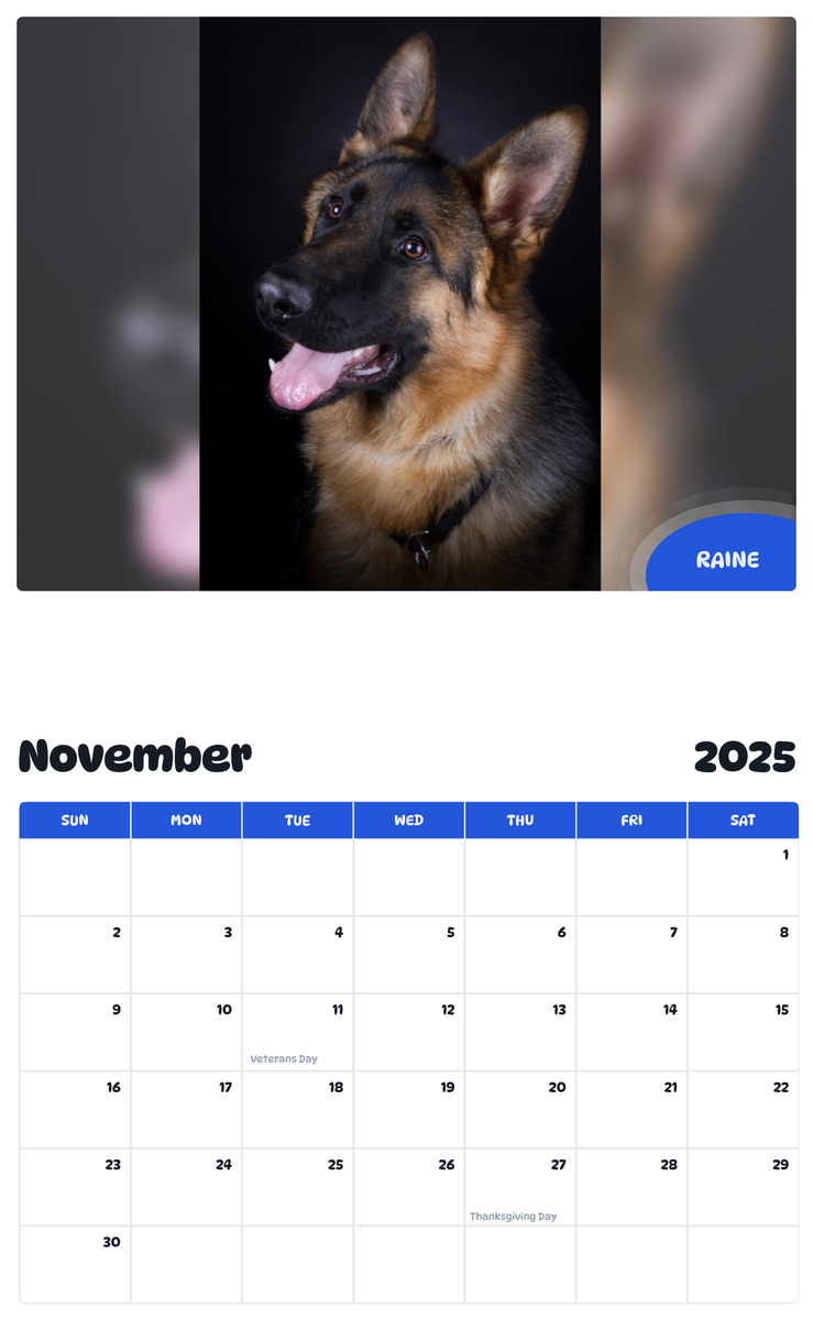July 2025 - June 2026 Raine - Pawidols Pet Calendar