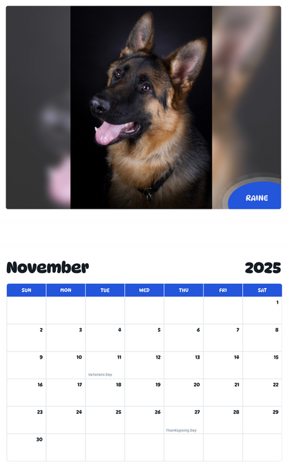 July 2025 - June 2026 Raine - Pawidols Pet Calendar