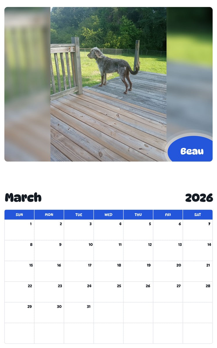 November 2025 - October 2026 Beau - Pawidols Pet Calendar