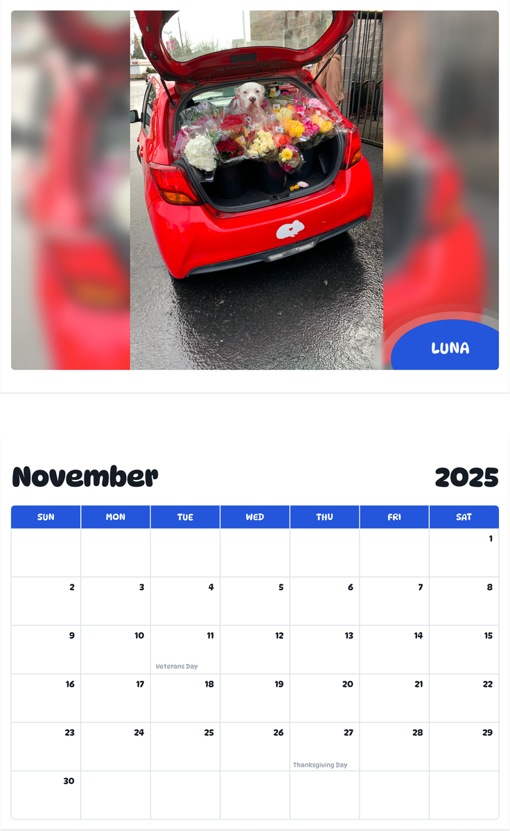 July 2025 - June 2026 Luna - Pawidols Pet Calendar