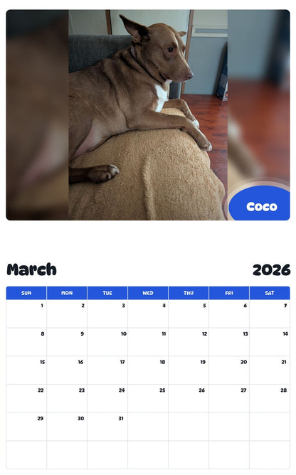November 2025 - October 2026 Coco - Pawidols Pet Calendar